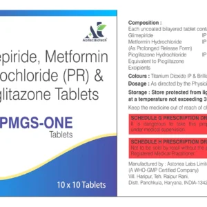 PMGS-ONE